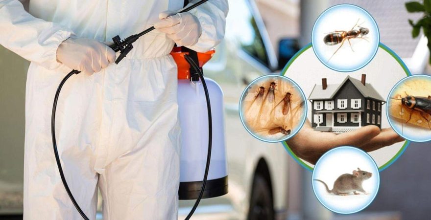 Şırnak Böcek İlaçlama