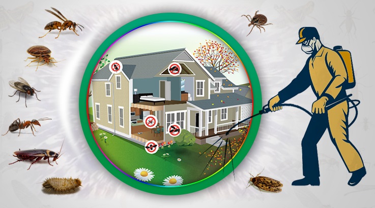 Şırnak Böcek İlaçlama