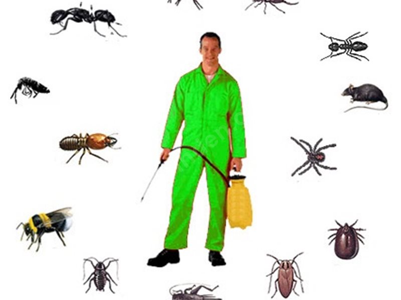 Şırnak Böcek İlaçlama